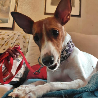 WhatsApp Image 2026-04-03 at 20.20.05 (1)