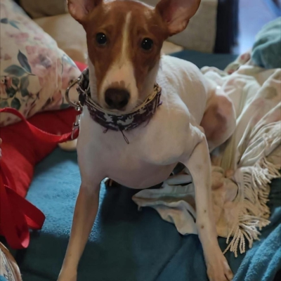 WhatsApp Image 2026-04-03 at 20.20.05 (3)