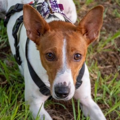 WhatsApp Image 2026-04-03 at 20.20.05 (4)