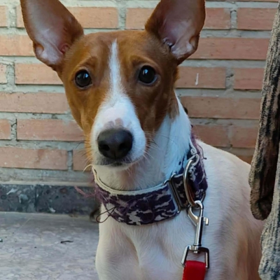 WhatsApp Image 2026-04-03 at 20.20.05