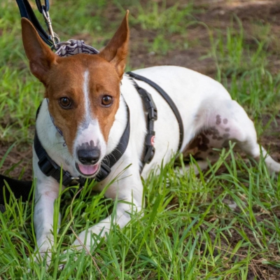 WhatsApp Image 2026-04-03 at 20.20.05 (5)