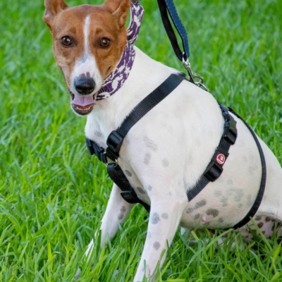 WhatsApp Image 2026-04-03 at 20.20.05 (6)