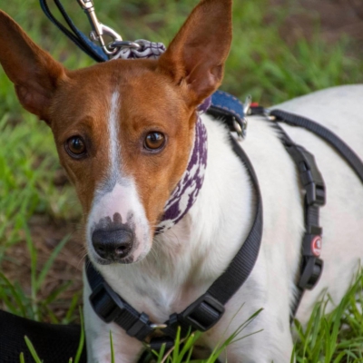 WhatsApp Image 2026-04-03 at 20.20.05 (7)