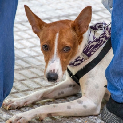 WhatsApp Image 2026-04-03 at 20.20.06 (1)