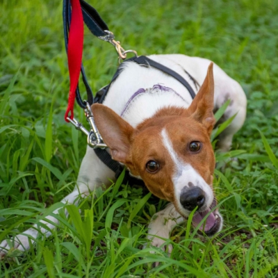 WhatsApp Image 2026-04-03 at 20.20.06 (2)