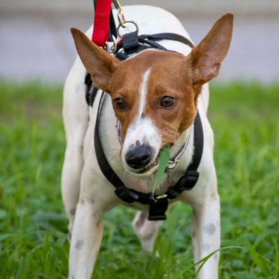 WhatsApp Image 2026-04-03 at 20.20.06 (3)