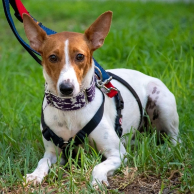 WhatsApp Image 2026-04-03 at 20.20.06 (4)