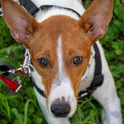 WhatsApp Image 2026-04-03 at 20.20.06