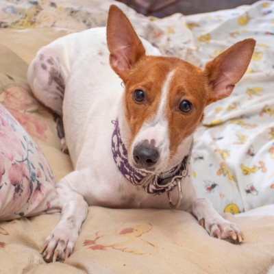 WhatsApp Image 2026-04-03 at 20.20.06 (5)