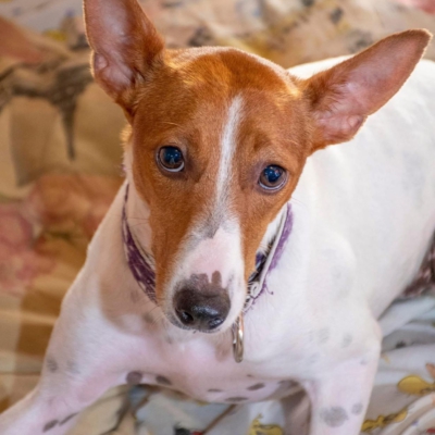 WhatsApp Image 2026-04-03 at 20.20.06 (6)