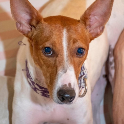 WhatsApp Image 2026-04-03 at 20.20.07 (1)