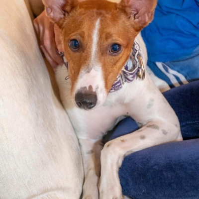 WhatsApp Image 2026-04-03 at 20.20.07 (2)