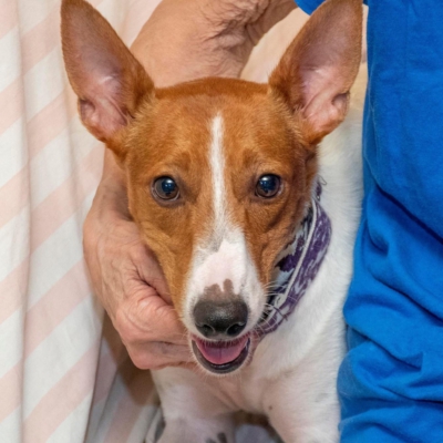 WhatsApp Image 2026-04-03 at 20.20.07 (3)