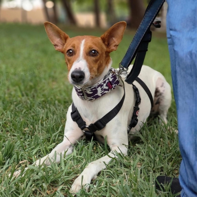 WhatsApp Image 2026-04-03 at 20.20.07 (4)