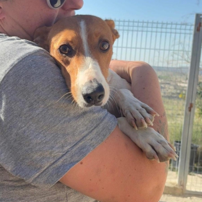 WhatsApp Image 2026-04-03 at 20.20.07 (6)