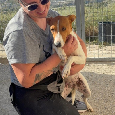 WhatsApp Image 2026-04-03 at 20.20.07 (7)