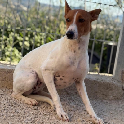 WhatsApp Image 2026-04-03 at 20.20.07 (9)