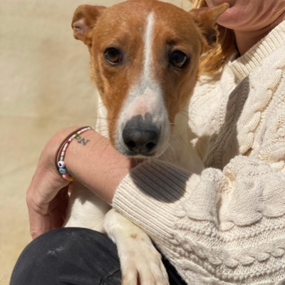 WhatsApp Image 2026-04-03 at 20.20.08 (1)