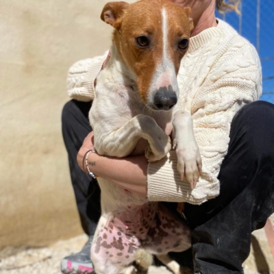 WhatsApp Image 2026-04-03 at 20.20.08 (2)