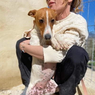 WhatsApp Image 2026-04-03 at 20.20.08 (3)