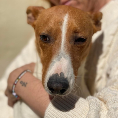 WhatsApp Image 2026-04-03 at 20.20.08