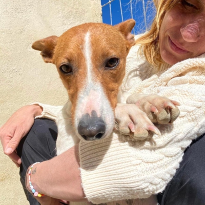 WhatsApp Image 2026-04-03 at 20.20.08 kopie