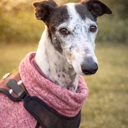 WhatsApp Image 2026-04-06 at 09.42.12 (1)