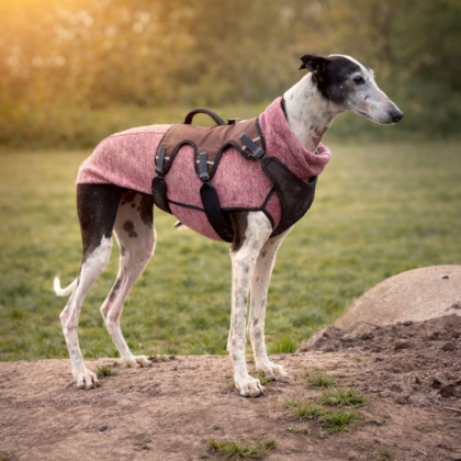 WhatsApp Image 2026-04-06 at 09.42.12 (2)