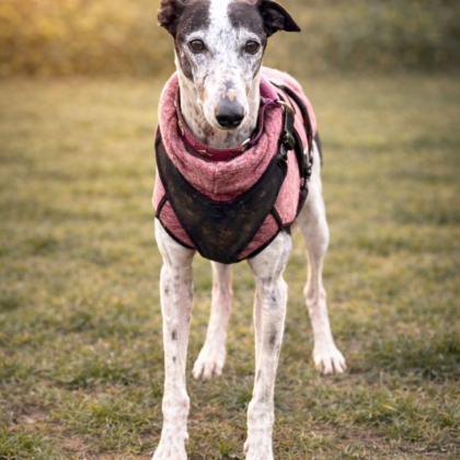 WhatsApp Image 2026-04-06 at 09.42.12 (3)