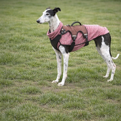 WhatsApp Image 2026-04-06 at 09.42.12