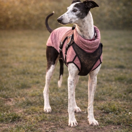 WhatsApp Image 2026-04-06 at 09.42.12 (5)