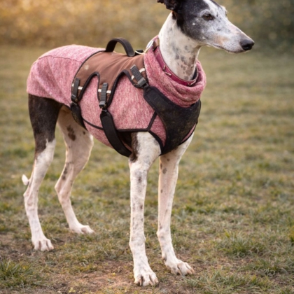 WhatsApp Image 2026-04-06 at 09.42.13 (1)