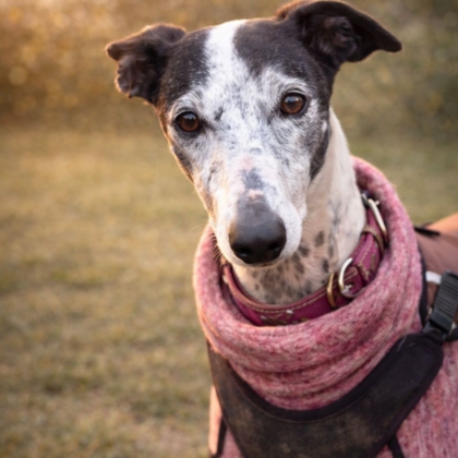 WhatsApp Image 2026-04-06 at 09.42.13 (2)