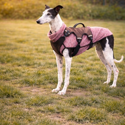 WhatsApp Image 2026-04-06 at 09.42.13