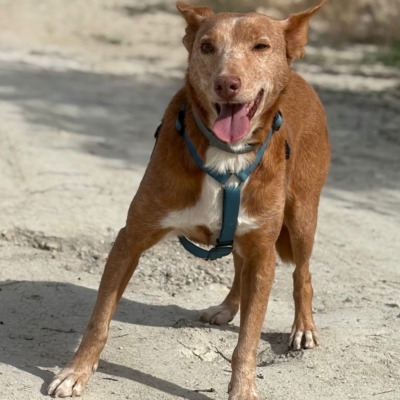 WhatsApp Image 2026-04-06 at 10.50.29 (1)