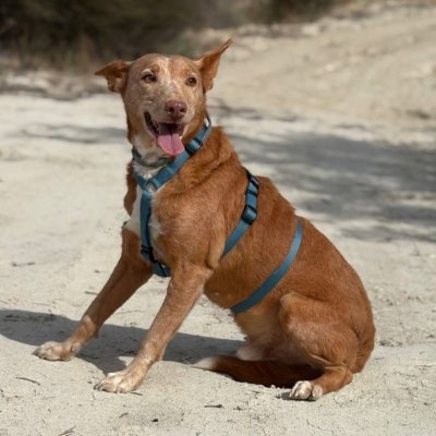 WhatsApp Image 2026-04-06 at 10.50.29