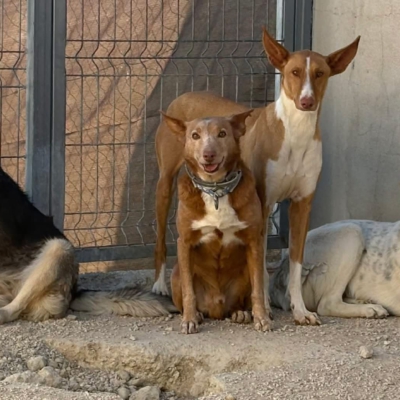 WhatsApp Image 2026-04-06 at 10.50.30 (2)