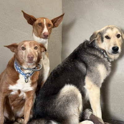 WhatsApp Image 2026-04-06 at 10.50.30 (3)