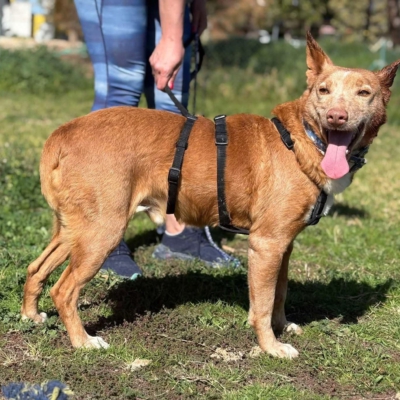 WhatsApp Image 2026-04-06 at 10.50.30