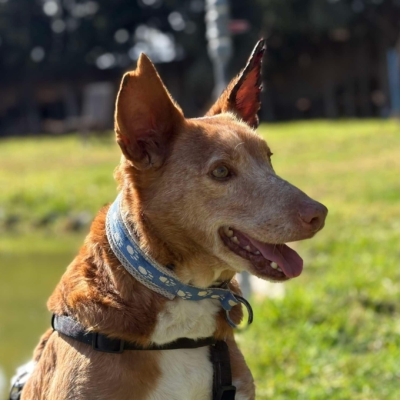 WhatsApp Image 2026-04-06 at 10.50.31 (2)