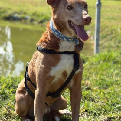 WhatsApp Image 2026-04-06 at 10.50.31 (3)