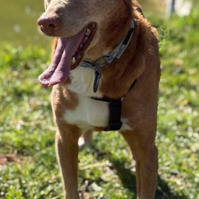 WhatsApp Image 2026-04-06 at 10.50.31 (4)