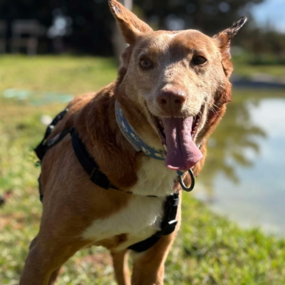 WhatsApp Image 2026-04-06 at 10.50.31