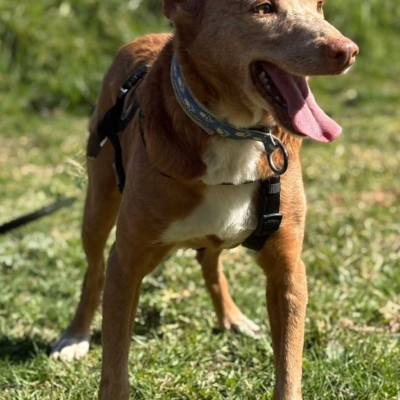 WhatsApp Image 2026-04-06 at 10.50.31 (5)