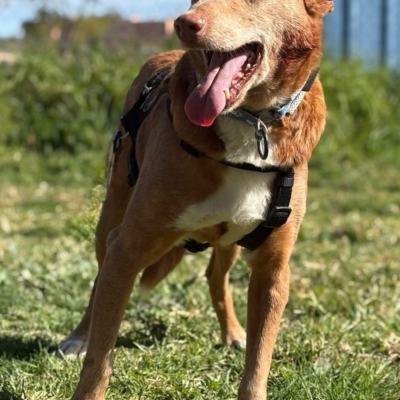 WhatsApp Image 2026-04-06 at 10.50.31 (6)