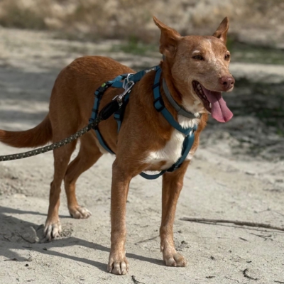 WhatsApp Image 2026-04-06 at 10.50.32 (1)