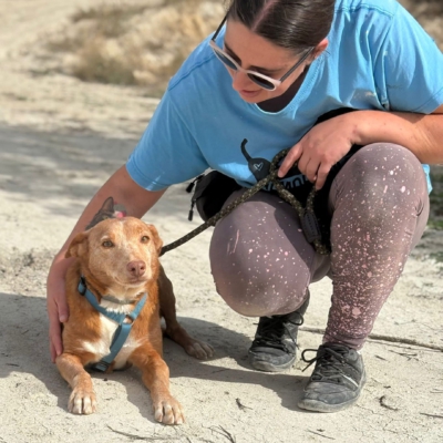 WhatsApp Image 2026-04-06 at 10.50.32 (2)