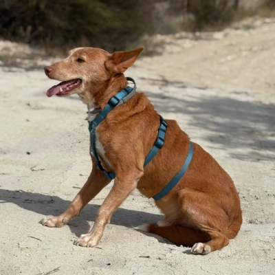 WhatsApp Image 2026-04-06 at 10.50.32 (3)