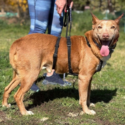 WhatsApp Image 2026-04-06 at 10.50.32