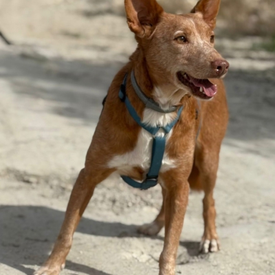 WhatsApp Image 2026-04-06 at 10.50.32 (5)